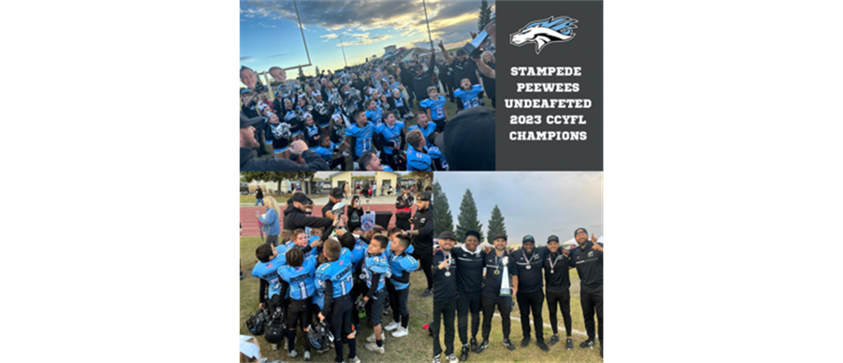 2023 Stampede Peewees Undefeated CCYFL Champions